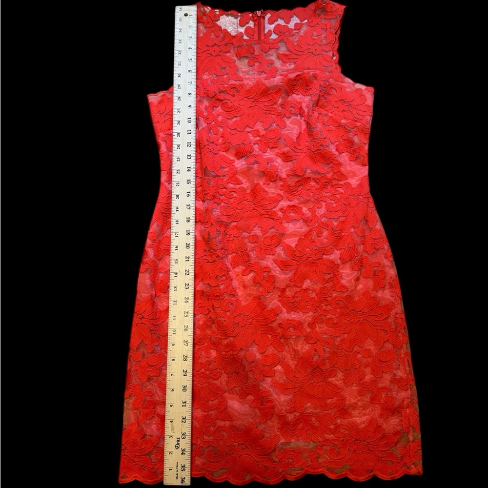 Gianni Bini Dress - Picture 11 of 11